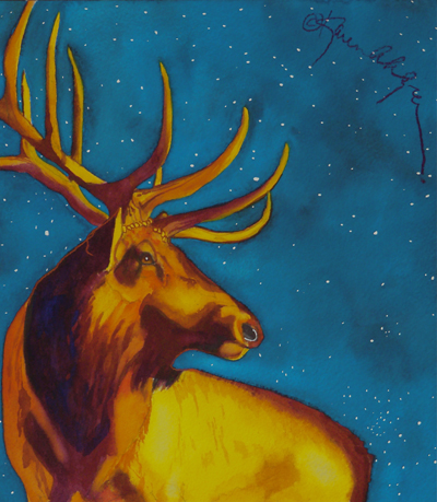 Star Gazer